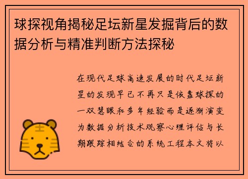 球探视角揭秘足坛新星发掘背后的数据分析与精准判断方法探秘 球探视角揭秘足坛新星发掘背后的数据分析与精准判断方法探秘